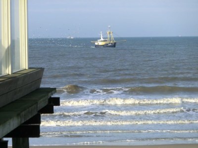 Holiday house Bungalow Seestern 229 - Environment photo 14