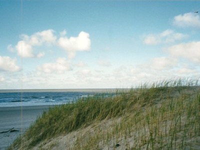 Holiday house Bungalow Seestern 229 - Environment photo 15