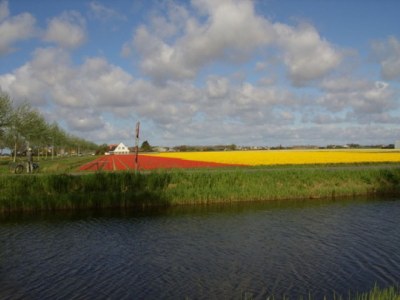 Holiday house Bungalow Seestern 229 - Environment photo 16