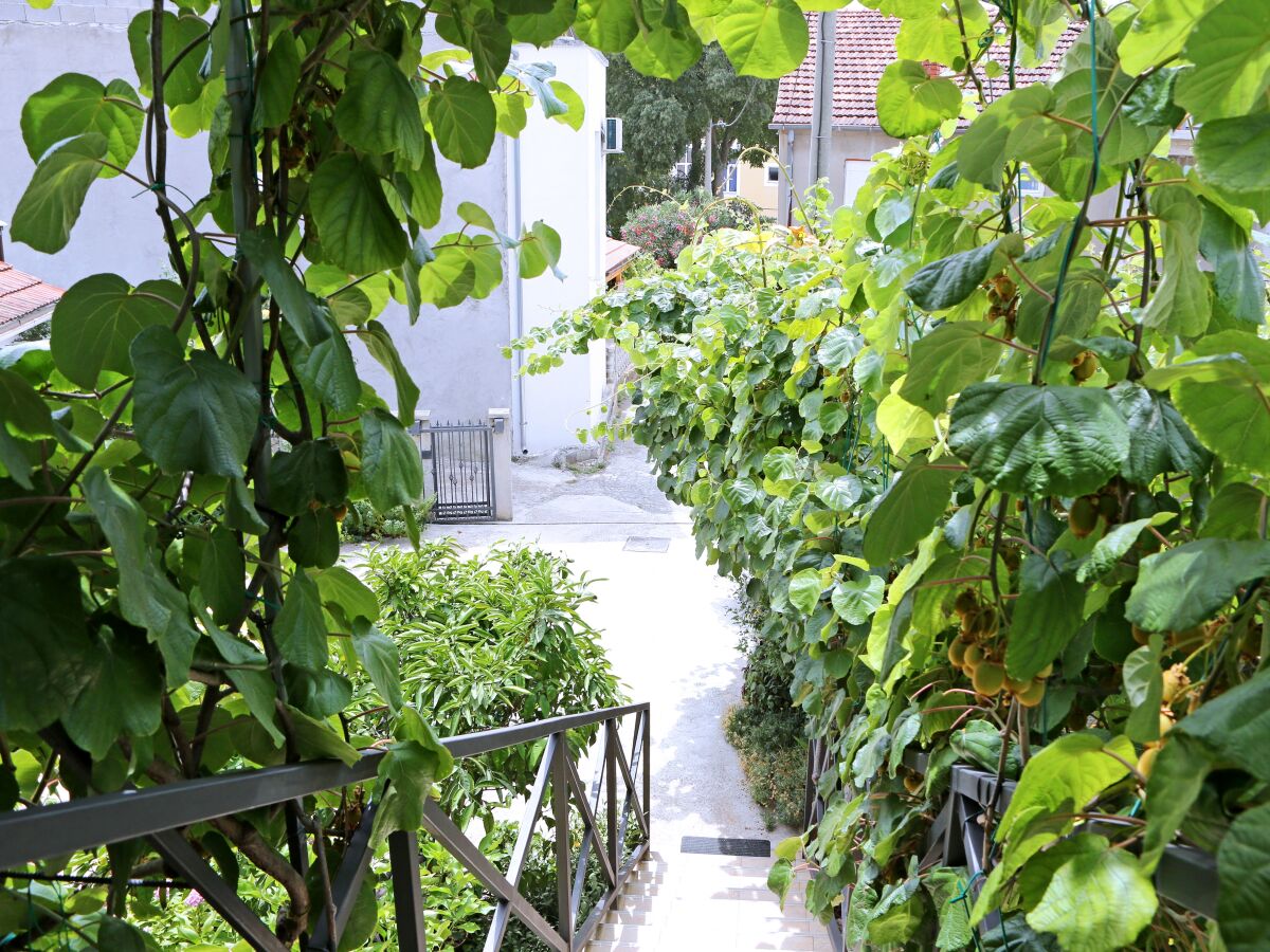 Apartment One bedroom apartment with balcony Bibinje, Zadar A-18843-a - Outdoor photo 4