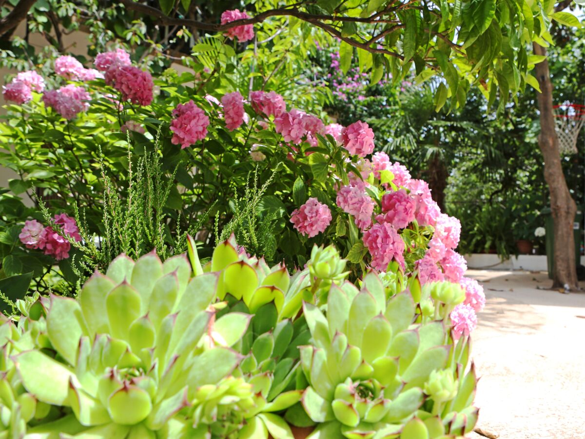 Apartment One bedroom apartment with balcony Bibinje, Zadar A-18843-a - Outdoor photo 5