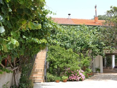 Apartment One bedroom apartment with balcony Bibinje, Zadar A-18843-a - Outdoor photo 2