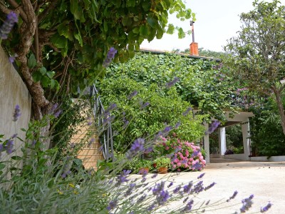 Apartment One bedroom apartment with balcony Bibinje, Zadar A-18843-a - Outdoor photo 3
