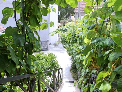 Apartment One bedroom apartment with balcony Bibinje, Zadar A-18843-a - Outdoor photo 4