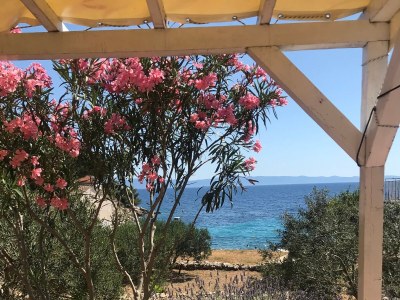 Holiday house Secluded fisherman's cottage Cove Skozanje, Hvar - 18887 - Secluded fisherman's cottage Cove Skozanje, Hvar - 18887 - Outdoor photo 13