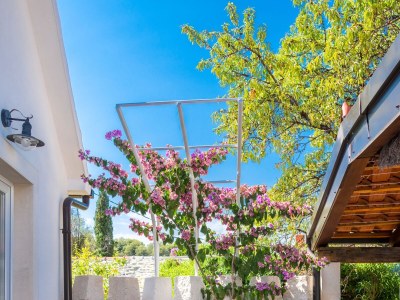 Holiday house Three bedroom house with balcony and sea view Škrip, Brač K-17345 - Outdoor photo 20