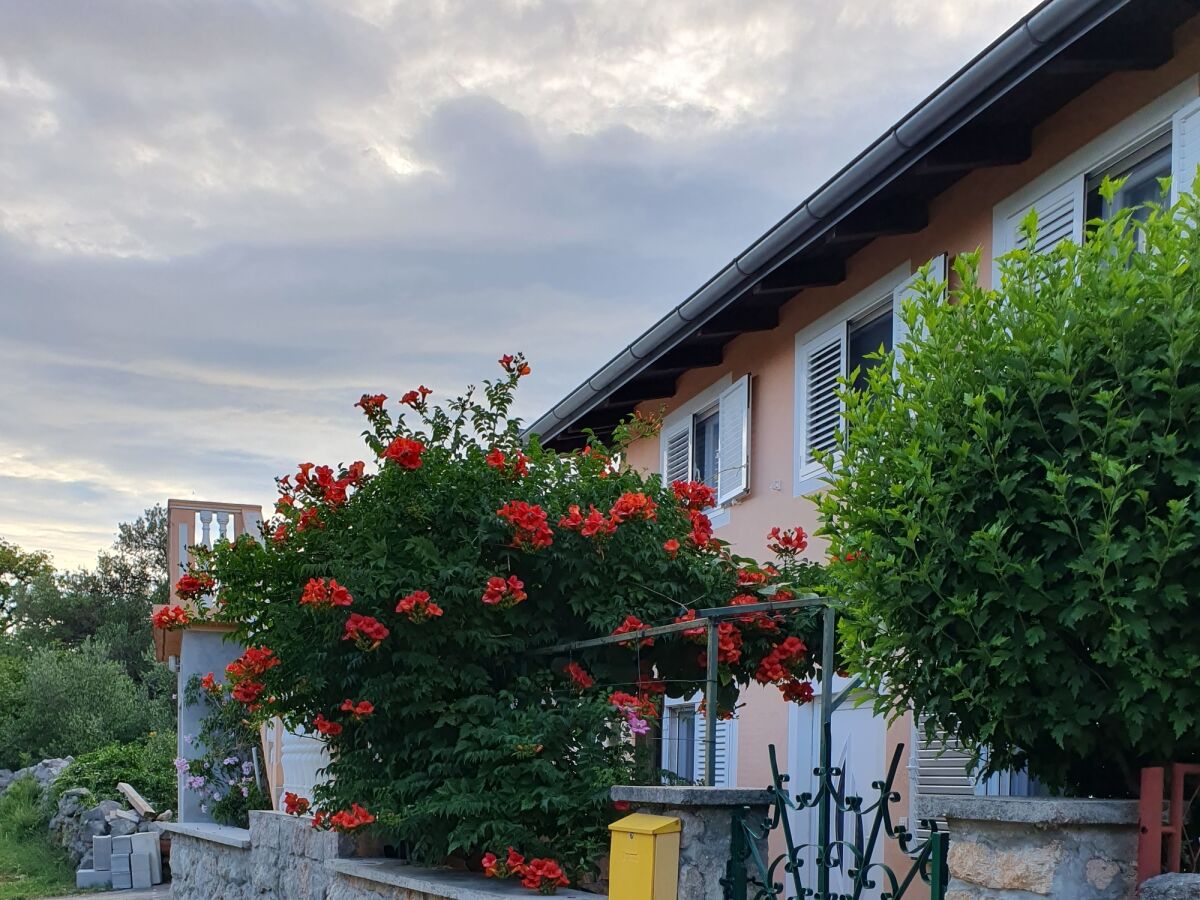 Apartment Two bedroom apartment with terrace and sea view Seline, Paklenica A-17390-a