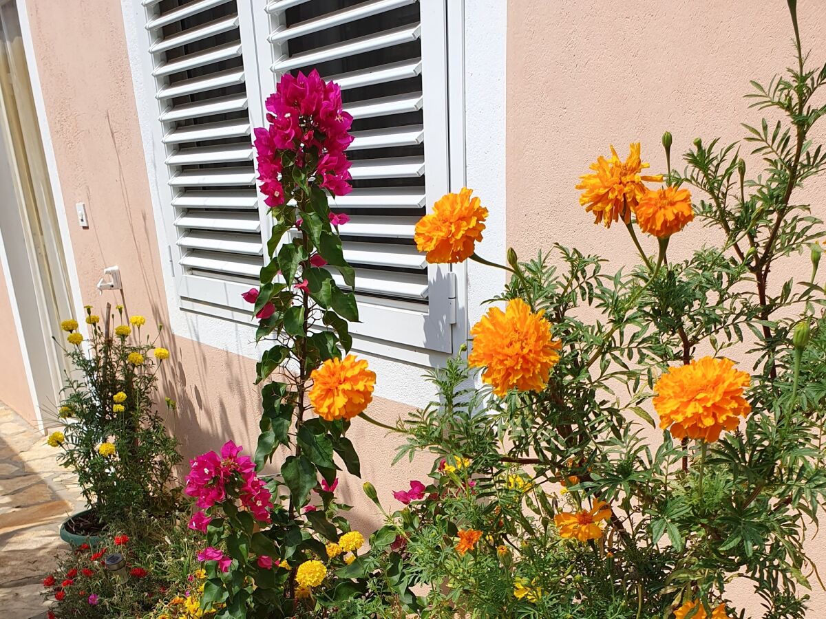 Apartment Two bedroom apartment with terrace and sea view Seline, Paklenica A-17390-a - Outdoor photo 3