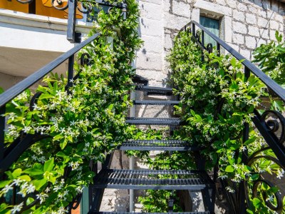 Holiday house One bedroom house with terrace and sea view Gornja Podgora, Makarska K-18984 - Outdoor photo 3