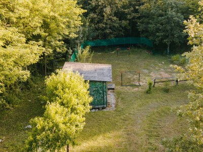 Holiday house Two bedroom house with terrace Tounj, Gorski kotar K-17577 - Outdoor photo 11