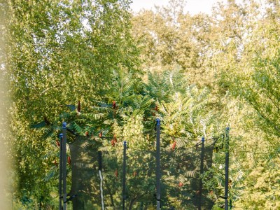 Holiday house Two bedroom house with terrace Tounj, Gorski kotar K-17577 - Outdoor photo 17