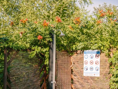 Holiday house Two bedroom house with terrace Tounj, Gorski kotar K-17577 - Outdoor photo 19