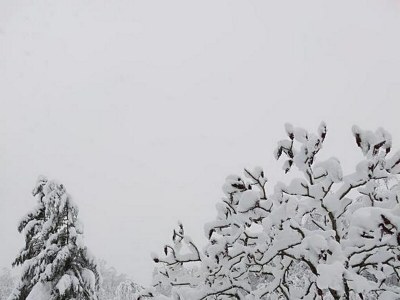 Holiday house Two bedroom house with terrace Tounj, Gorski kotar K-17577 - Outdoor photo 22