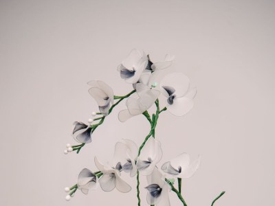 Holiday house Two bedroom house with terrace Tounj, Gorski kotar K-17577 - Outdoor photo 32