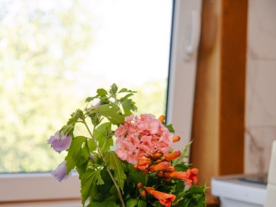 Holiday house Two bedroom house with terrace Tounj, Gorski kotar K-17577 - Outdoor photo 37