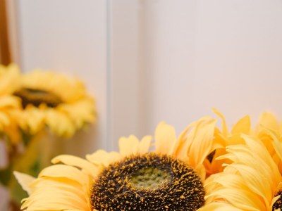 Holiday house Two bedroom house with terrace Tounj, Gorski kotar K-17577 - Outdoor photo 54