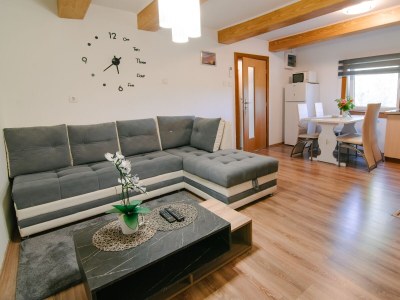 Holiday house Two bedroom house with terrace Tounj, Gorski kotar K-17577 - Outdoor photo 64