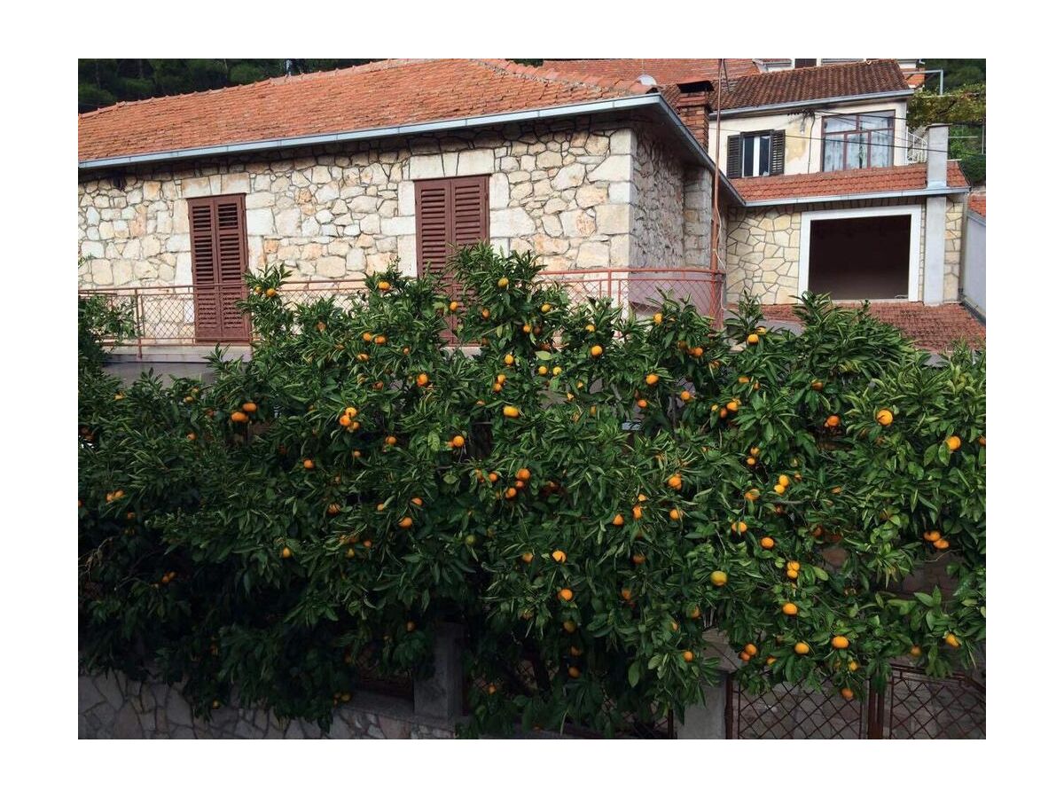 Holiday house Four-bedroom house with terrace Svirče, Hvar K-17682 - Outdoor photo 3