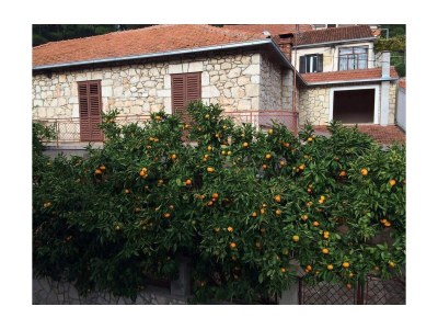 Holiday house Four-bedroom house with terrace Svirče, Hvar K-17682 - Outdoor photo 3