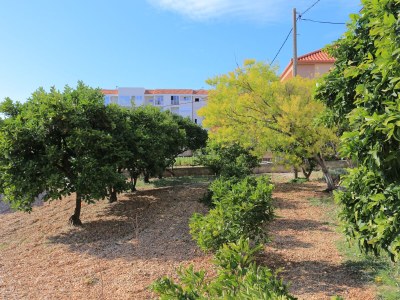 Apartment Two bedroom apartment with terrace Trogir A-18116-a - Outdoor photo 4