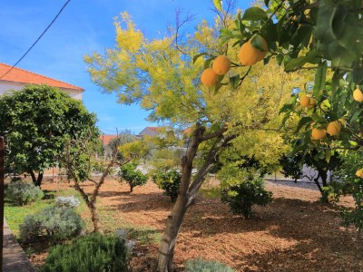 Apartment Two bedroom apartment with terrace Trogir A-18116-a - Outdoor photo 6
