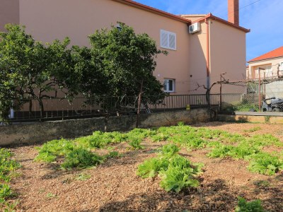 Apartment Two bedroom apartment with terrace Trogir A-18116-a - Outdoor photo 7