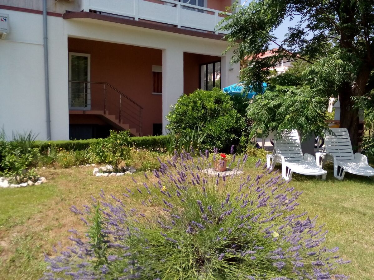 Apartment Two bedroom apartment with balcony and sea view Kampor, Rab A-17886-a - Outdoor photo 2