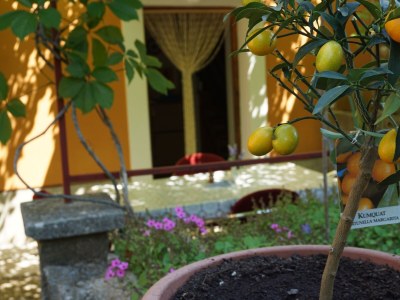 Holiday house Two bedroom house with terrace Nerezine, Lošinj K-17984 - Outdoor photo 6