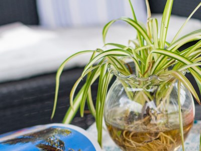 Apartment One bedroom apartment with terrace Krasica, Rijeka A-18059-b - Outdoor photo 20