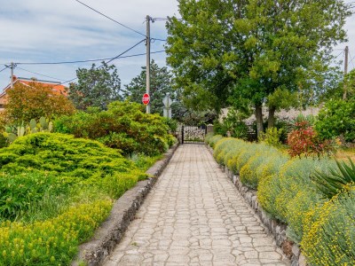 Apartment One bedroom apartment with terrace Krasica, Rijeka A-18059-b - Outdoor photo 23