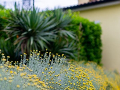 Apartment One bedroom apartment with terrace Krasica, Rijeka A-18059-b - Outdoor photo 24