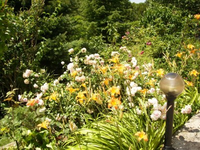 Apartment Two bedroom apartment with terrace Vinež, Labin A-18493-a - Outdoor photo 11