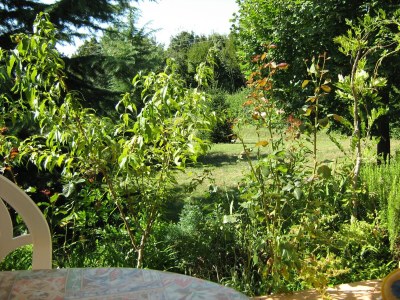 Apartment Two bedroom apartment with terrace Vinež, Labin A-18493-a - Outdoor photo 23