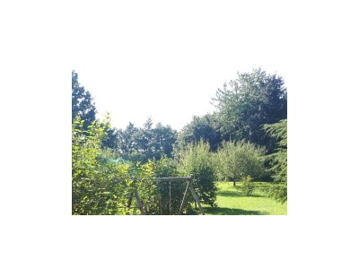 Apartment Two bedroom apartment with terrace Vinež, Labin A-18493-a - Outdoor photo 24