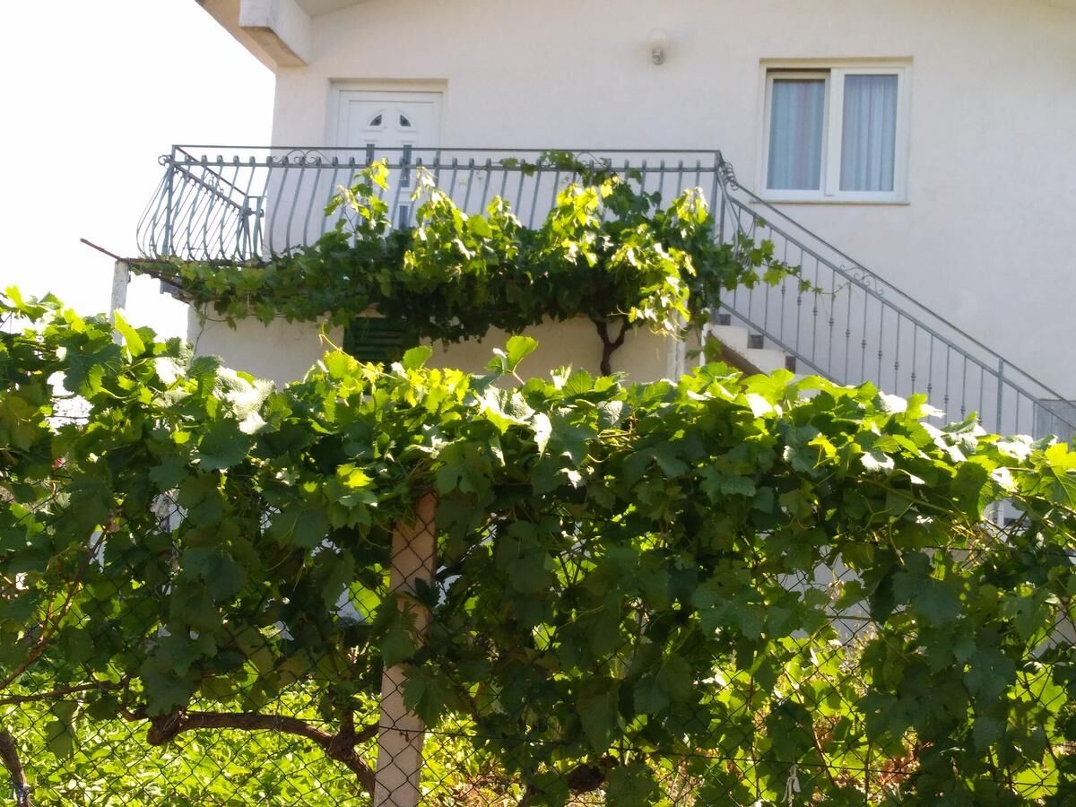 Apartment Apartments with parking space Katuni, Zagora - 18344 - Apartments with parking space Katuni, Zagora - 18344 - Outdoor photo 5