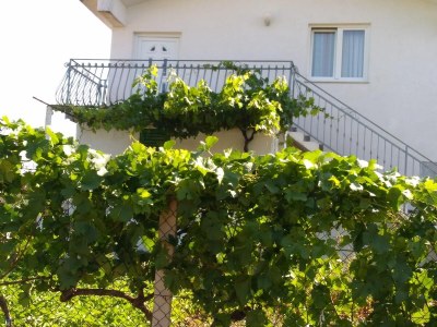 Apartment Apartments with parking space Katuni, Zagora - 18344 - Apartments with parking space Katuni, Zagora - 18344 - Outdoor photo 5