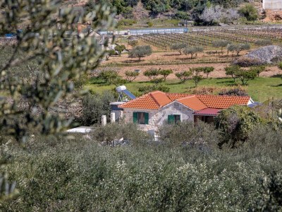 Holiday house Three bedroom house with terrace Postira, Brač K-19563 - Outdoor photo 4