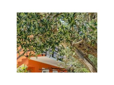 Holiday house Three bedroom house with terrace and sea view Cove Babina, Korčula K-19712 - Outdoor photo 25