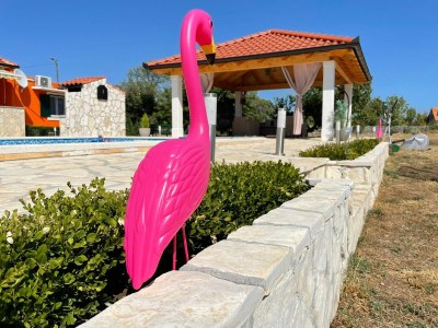 Holiday house Three bedroom house with terrace Gornje Planjane, Zagora K-19733 - Outdoor photo 16