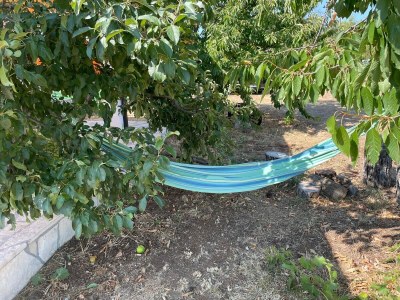 Holiday house Three bedroom house with terrace Gornje Planjane, Zagora K-19733 - Outdoor photo 18