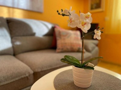 Holiday house Three bedroom house with terrace Gornje Planjane, Zagora K-19733 - Outdoor photo 25