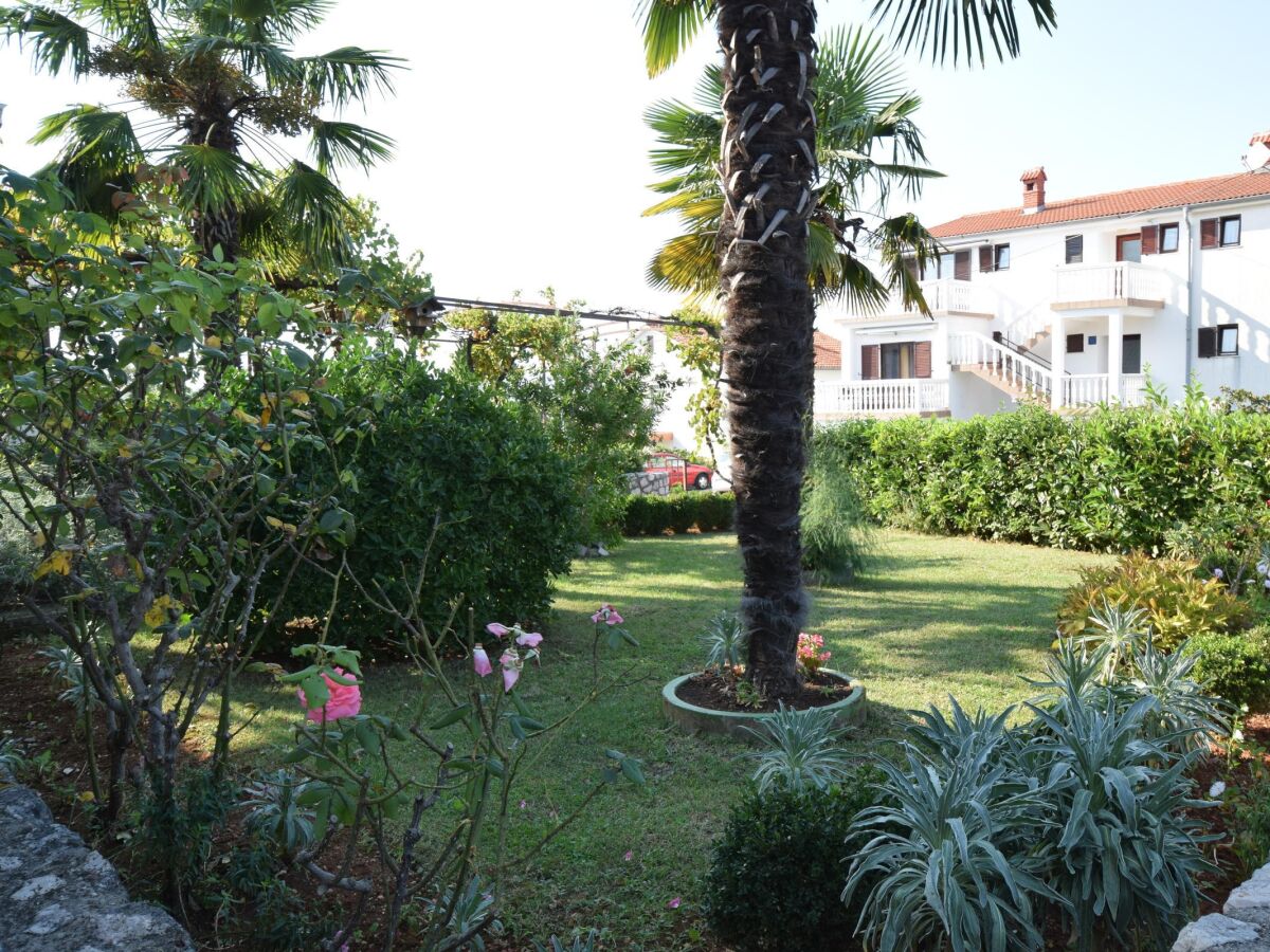 Apartment Three bedroom apartment with terrace and sea view Njivice, Krk A-20474-a - Outdoor photo 2