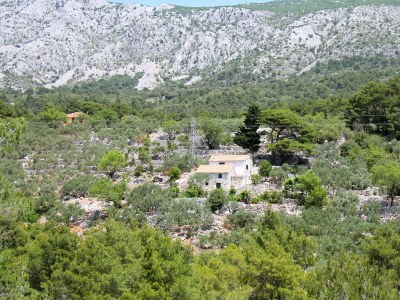 Holiday house Two bedroom house with air-conditioning Živogošće - Mala Duba, Makarska K-19811 in Igrane - Holiday house