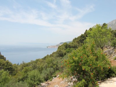 Holiday house Two bedroom house with air-conditioning Živogošće - Mala Duba, Makarska K-19811 - Outdoor photo 11