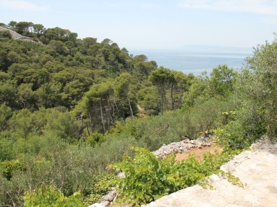 Holiday house Two bedroom house with air-conditioning Živogošće - Mala Duba, Makarska K-19811 - Outdoor photo 15