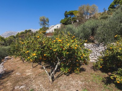 Holiday house Two bedroom house with air-conditioning Živogošće - Mala Duba, Makarska K-19811 - Outdoor photo 16