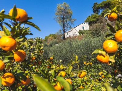 Holiday house Two bedroom house with air-conditioning Živogošće - Mala Duba, Makarska K-19811 - Outdoor photo 17