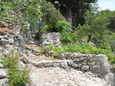Holiday house Two bedroom house with air-conditioning Živogošće - Mala Duba, Makarska K-19811 - Outdoor photo 19