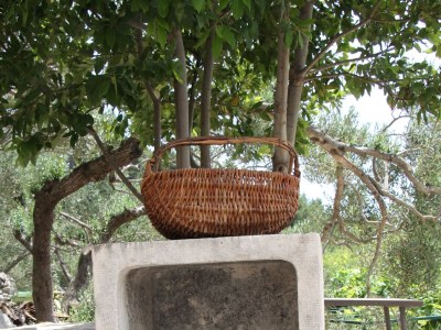Holiday house Two bedroom house with air-conditioning Živogošće - Mala Duba, Makarska K-19811 - Outdoor photo 22