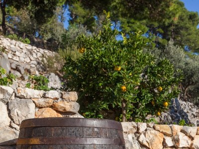 Holiday house Two bedroom house with air-conditioning Živogošće - Mala Duba, Makarska K-19811 - Outdoor photo 24